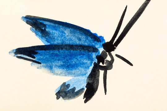 moth with blue wings hand painted on colored paper