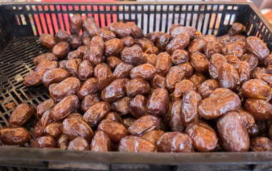Date palm for sale at local city farmers market