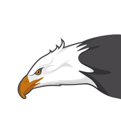 eagle illustrator
