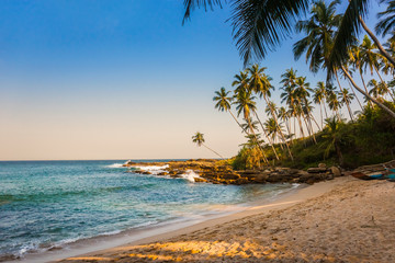 Fototapeta premium Wild beach in the evening. Indian ocean shore, Sri Lanka.