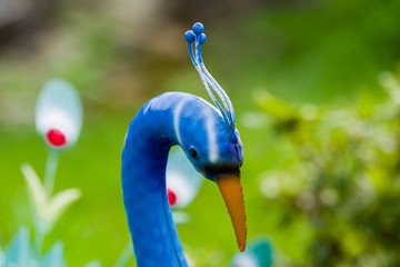 Tête de Paon