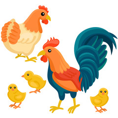 Adult hen and rooster with tree chickens on the white background / There are cute family of hen with their chickens in cartoon style