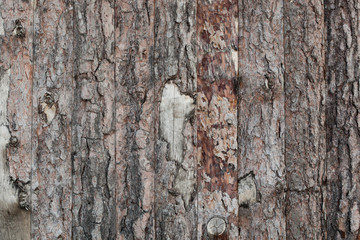  Background of rough wooden boards