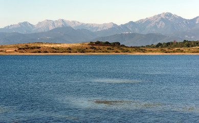 Reservoir of  Bacciana in eastern plain of  Corsica 