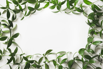 Creative layout made of green leaves with empty space for note on white background. Top view. Nature concept.