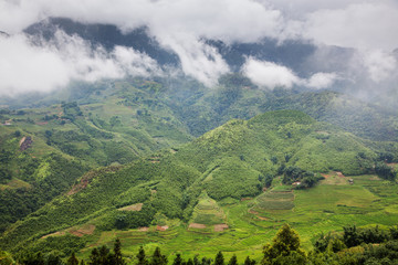 Fototapeta premium terraced green rice fields around Sa Pa, Vietnam