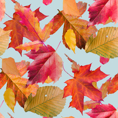 Seamless pattern with leaves