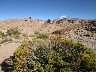 Désert Uyuni