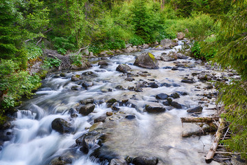 creek in mountain