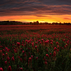 Naklejka premium Burning Sky