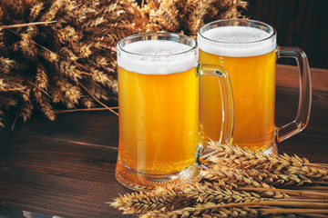 Two glasses of light beer with spikelets of barley on the wooden background. Beautiful background of the Oktoberfest