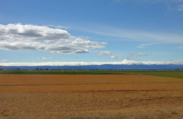 Obraz premium Mount Jefferson of the Oregon Cascades, overlooking Culver, Oregon