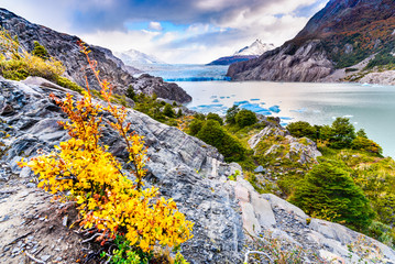 Grey Glacier, Torres del Paine, Patagonia, Chile