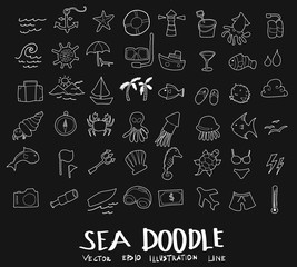 sea doodle drawing vector set on chalkboard eps10