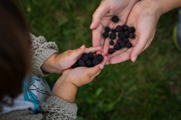 Madre y niño cogiendo moras 
