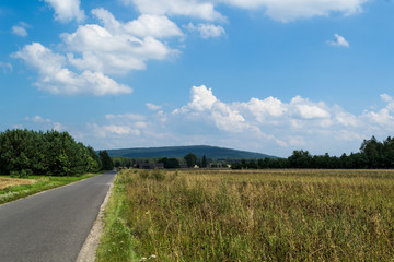 Turbiny wiatrowe na wzgórzu w okolicach Bełchatowa, Polska © Senatorek