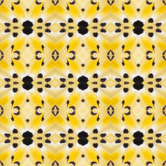 Colorful texture from detail of butterfly wing