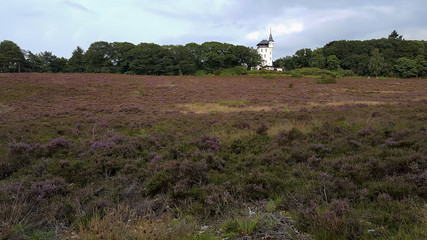 Estate De Sprengenberg with Palthe tower, Sallandse Heuvelrug NP, Overijssel, Netherlands