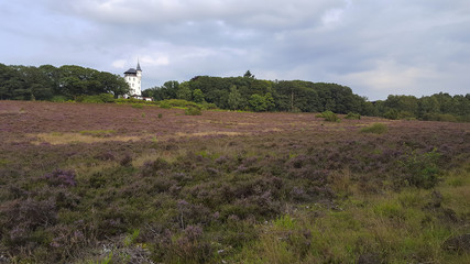 Estate De Sprengenberg with Palthe tower, Sallandse Heuvelrug NP, Overijssel, Netherlands © roelmeijer