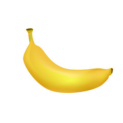 Ripe Banana Realistic Vector Illustration