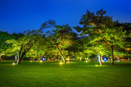 Park at night.