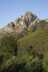 Picos de Europa Mountain Range; Labra; Austurias