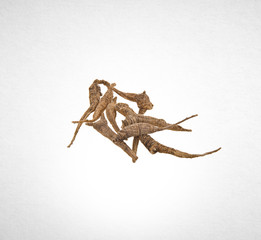Ginseng or Dried Ginseng on a background.