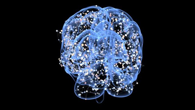 Brain activity during thinking