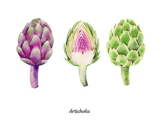 Handpainted watercolor poster with artichokes - 170703604