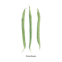Handpainted watercolor poster with green beans