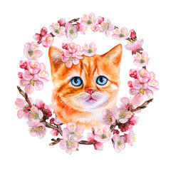 Branch of apple blossom, cherry. Red kitten. Watercolor isolated on white background. Illustration. Template. Clipart