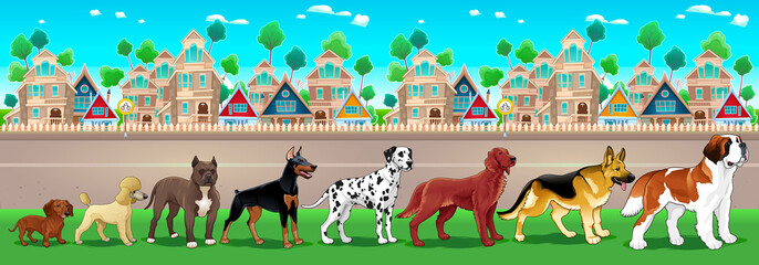 Collection of purebred dogs aligned on the town view - obrazy, fototapety, plakaty