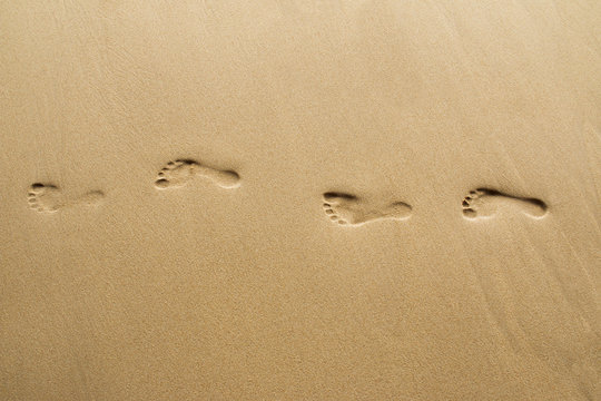 Footprints on beach. - Powered by Adobe