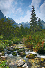 Tatry 