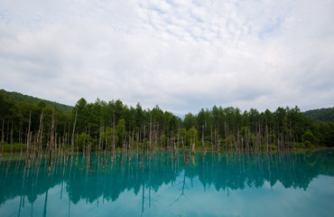 Blue Pond