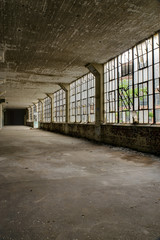 Concrete & Large Windows - Abandoned Clothing Factory