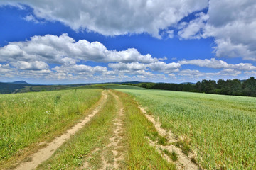 Fototapeta na wymiar Rural landscape in countryside of Beskid Niski, Poland