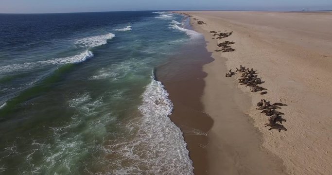 Aerial drone footage of desert sand peninsula, old lighthouse and power station building on ocean seals beach, Walvis Bay lagoon view with sea background and ships at Namibia's Atlantic west coast