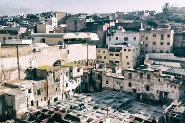  in morocco africa the antique tannery