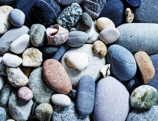 Background from sea stone