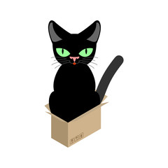Cat in box isolated. Pet in cardboard box. vector illustration
