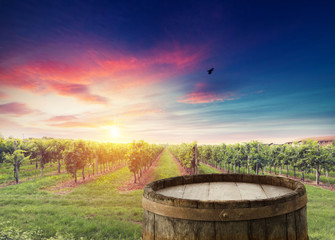 Red wine with barrel on vineyard in green Tuscany, Italy