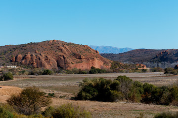 Few bushes growing between the grass field in the Red mountains