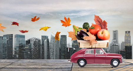 Fototapety na wymiar - Fototapeta24.pl