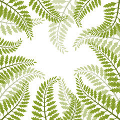 Beautiful foliage - fern leaves VECTOR frame 