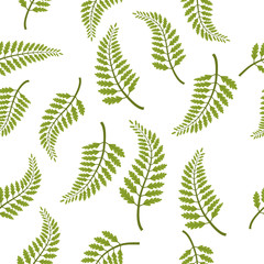 Fern leaves seamless pattern vector