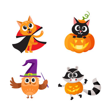 Set of animal characters - cat, owl, raccoon - in Halloween costumes, cartoon vector illustration isolated on white background. Set of animal characters celebrating Halloween, trick or treat