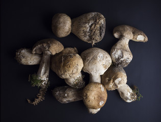 Whole porcini mushrooms or 