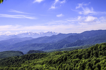 Landscape. Beautiful types of the nature in the photo.