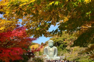 Great Buddha  ~  autumn Leaves